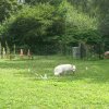 obeissance 2014-08-02
